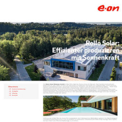 E.ON - Projektbericht